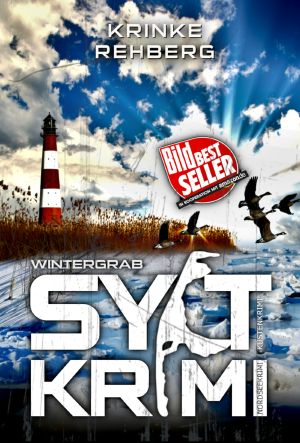 [Bente Brodersen 14] • SYLTKRIMI Wintergrab - Küstenkrimi · Nordseekrimi